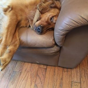 Meet your Posher, Samantha